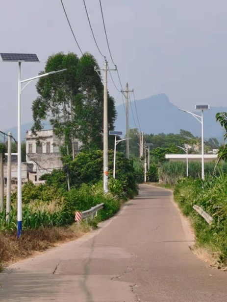 太陽能路燈案例