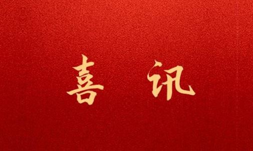 中國（廣西）自由貿易試驗區欽州港片區招商服務中心與拓瑞能源集團簽訂戰略合作框架協議